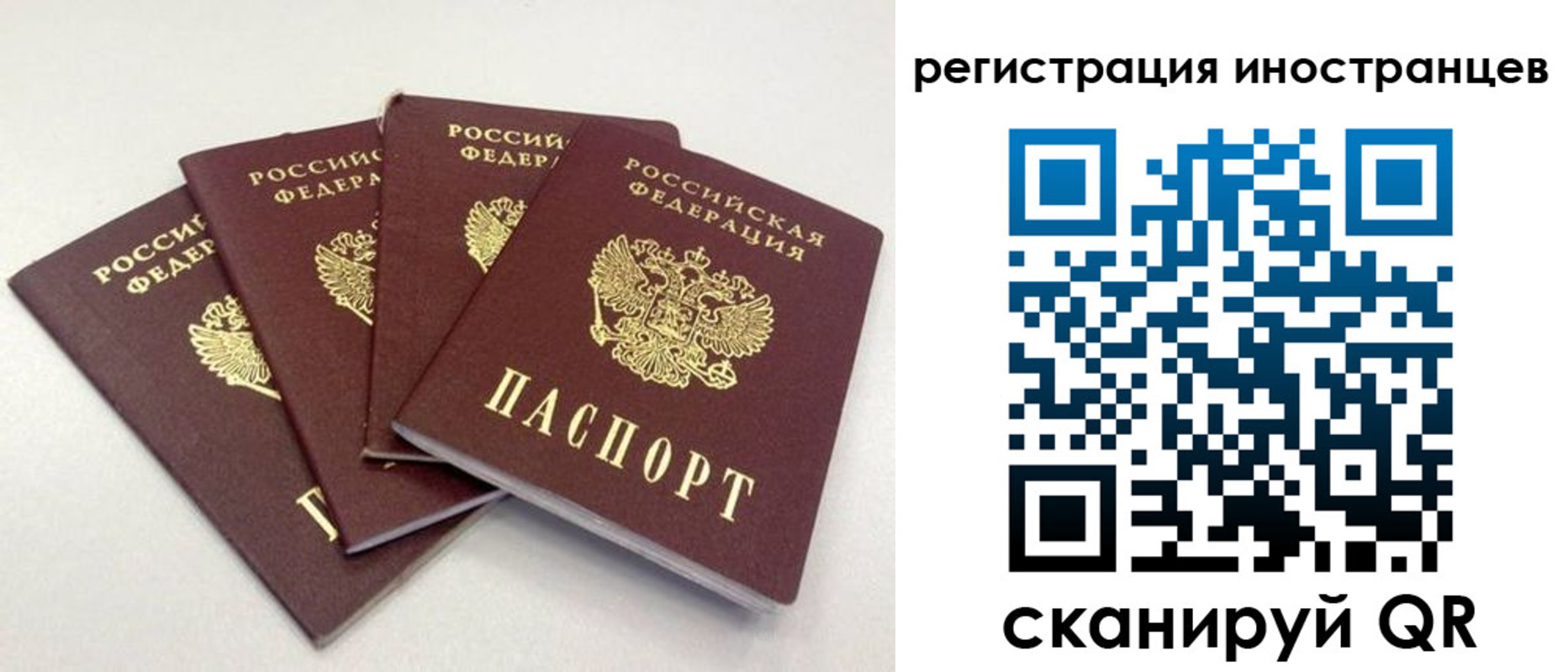 временная регистрация для школы в Кудрово
